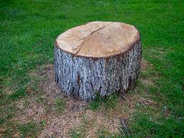 Best Firewood Processing and Delivery  in Homer Glen, IL